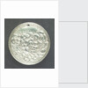 Medal commemorating disputes with Holland; reverse by G. Bower