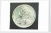 Medal commemorating Prince George of Denmark, High Admiral (1653-1708); reverse by J. Croker