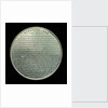 Medal commemorating the SS 'Great Britain'; reverse by unknown
