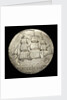 Crown; obverse by unknown