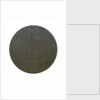 Engraved commemorative coin; obverse by unknown