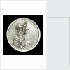 Medal commemorating the Spanish wreck recovered, 1687; obverse by G. Bower