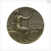 Medal commemorating The International Congress of Maritime Law; obverse by R.E. Lamourdedieu