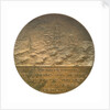 Medal commemorating the wreck of the SS 'Berlin', 1907; obverse by A.T. van Rooy