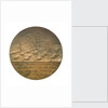 Medal commemorating the wreck of the SS 'Berlin', 1907; obverse by A.T. van Rooy