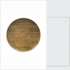 Medal commemorating the wreck of the SS 'Berlin', 1907; reverse by A.T. van Rooy