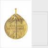 Medal commemorating the Italian cruiser 'Regina Elena' and the landing at Bengasi, 1911; reverse by S. Johnson
