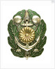 Mining badge; obverse by unknown
