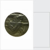 Medal commemorating the Austrian Red Cross Society; obverse by Unknown