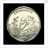 Medal commemorating the navigation of the Amazon, 1865; obverse by unknown