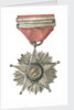 Medal commemorating the Tacna and Arica campaign, 1879-1880; obverse by unknown