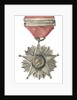 Medal commemorating the Tacna and Arica campaign, 1879-1880; obverse by unknown