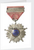 Medal commemorating the Tacna and Arica campaign, 1879-1880; reverse by unknown