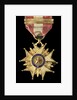 Medal commemorating the Lima campaign, 1881; reverse by unknown