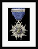 Medal commemorating the Lima campaign, 1881; obverse by unknown