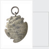 Commemorative badge; To the Brazilian Fleet from the Argentina Fleet; reverse by Bellagamba