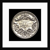 Medal commemorating the dredging and installation of lighted buoys on the rivers La Plata, Parana and Uruguay; reverse by J. Gottuzzo