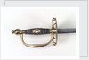 Small-sword which belonged to a surgeon in the Royal Navy Civil Branch by Read