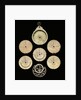 Astrolabe: dismounted obverse by unknown