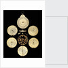 Astrolabe: dismounted reverse by unknown