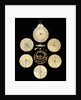 Astrolabe: dismounted reverse by unknown