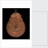 Astrolabe: dismounted obverse by unknown