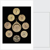 Astrolabe: dismounted obverse by unknown