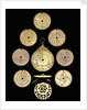 Astrolabe: dismounted reverse by unknown