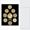 Astrolabe: dismounted reverse by unknown