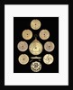Astrolabe: dismounted reverse by unknown