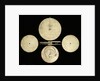 Astrolabe: dismounted reverse by Egnatio Danti