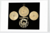 Astrolabe: dismounted reverse by unknown