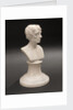 Bust depicting Vice-Admiral Horatio Nelson (1758-1805) by unknown