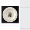 Creamware plate by Worthington