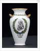 Vase by Josiah Wedgwood & Sons Ltd.