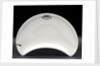 Salad plate by Worcester Royal Porcelain Co.