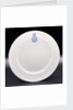 Porcelain plate by Hudson & Middleton Ltd.