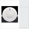 Porcelain plate by Hudson & Middleton Ltd.