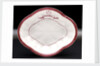 Serving dish by R. H. & S. L. Plant Ltd.