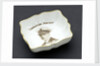 Trinket dish by Royal Crown Derby Porcelain Co