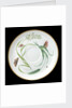 Saucer used on RY 'Alberta' (1863) by Worcester Royal Porcelain Co.