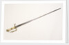 Five-ball hilted dress sword by unknown