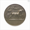 Commemorative medal depicting Napoleon I; reverse by Andrieu