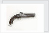 Percussion pistol by Royal Small Arms Factory