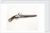 Sea Service pistol by Unknown