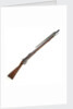 Pattern 1842 rifle-musket by unknown