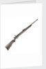 Rifle owned by Admiral of the Fleet Lord Cunningham (1883-1963) by Birmingham Small Arms Co. Ltd.