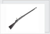 Hotchkiss Model 1878 rifle by Winchester's Repeating Arms