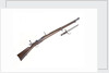 Mauser Model 1893 by unknown