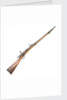 Hotchkiss Model 1878 rifle by Winchester's Repeating Arms